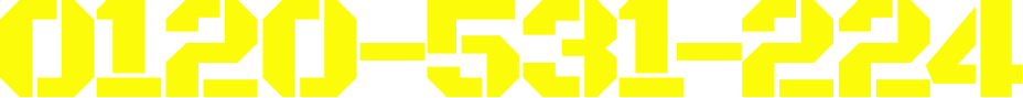 0120-531-224
